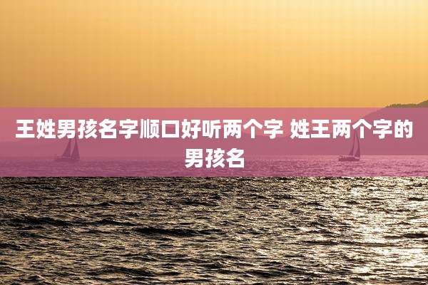 王姓男孩名字顺口好听两个字 姓王两个字的男孩名