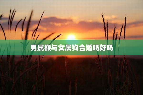 男属猴与女属狗合婚吗好吗