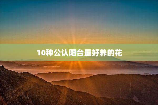 10种公认阳台最好养的花