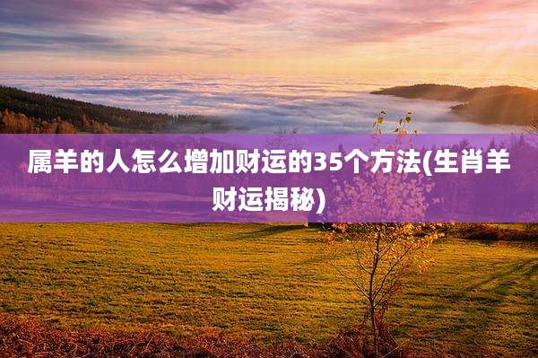 属羊的人怎么增加财运的35个方法(生肖羊财运揭秘)