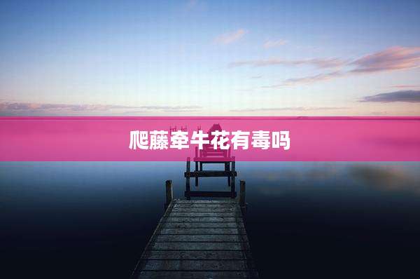 爬藤牵牛花有毒吗