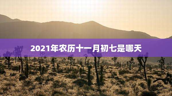 2021年农历十一月初七是哪天