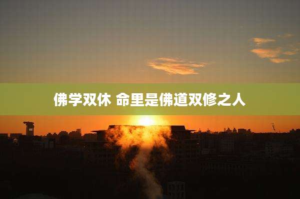 佛学双休 命里是佛道双修之人