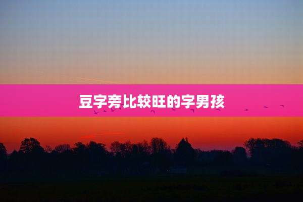 豆字旁比较旺的字男孩
