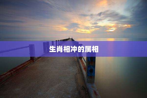 生肖相冲的属相