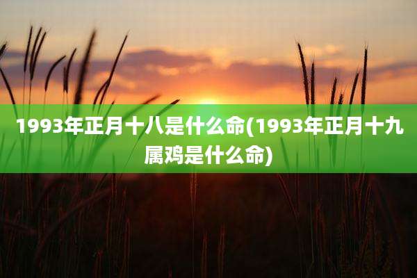 1993年正月十八是什么命(1993年正月十九属鸡是什么命)
