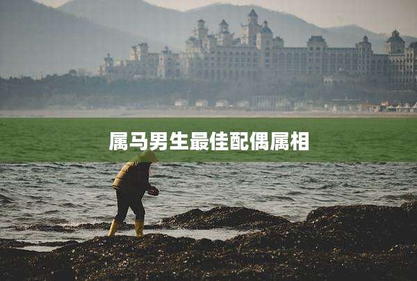 属马男生最佳配偶属相