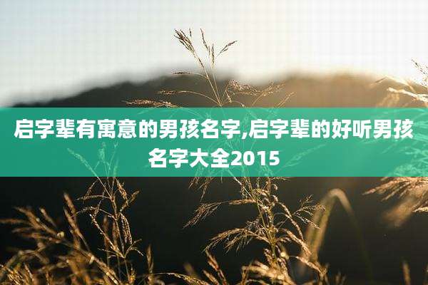 启字辈有寓意的男孩名字,启字辈的好听男孩名字大全2015