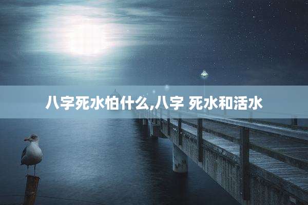 八字死水怕什么,八字 死水和活水
