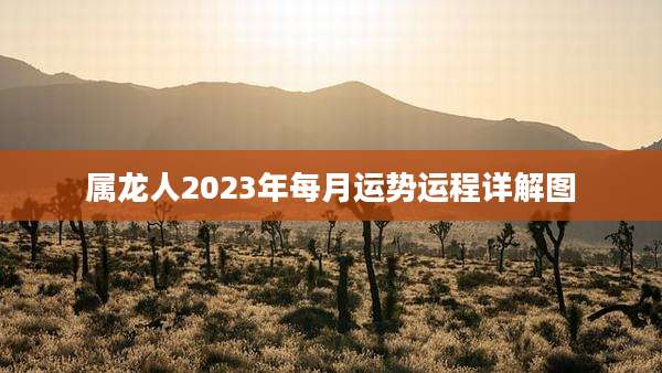 属龙人2023年每月运势运程详解图