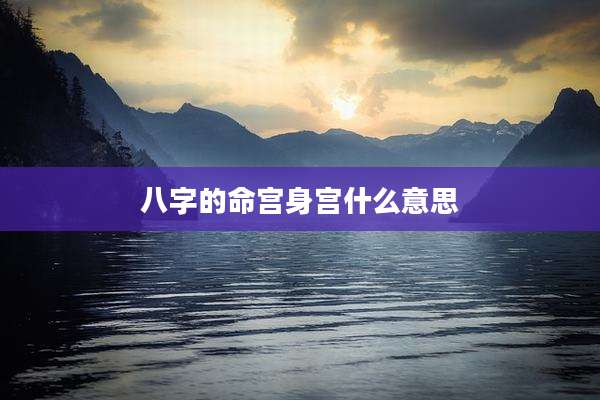 八字的命宫身宫什么意思