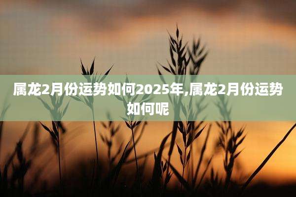 属龙2月份运势如何2025年,属龙2月份运势如何呢