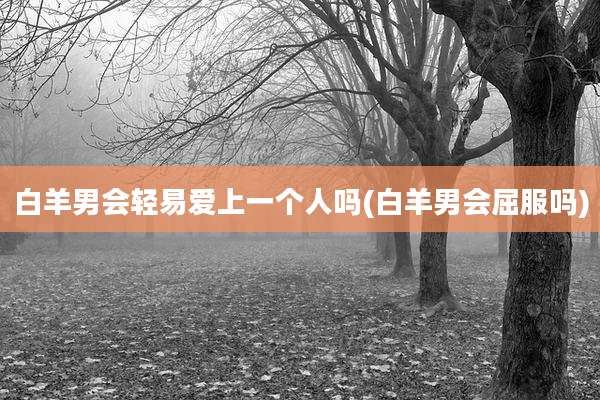 白羊男会轻易爱上一个人吗(白羊男会屈服吗)