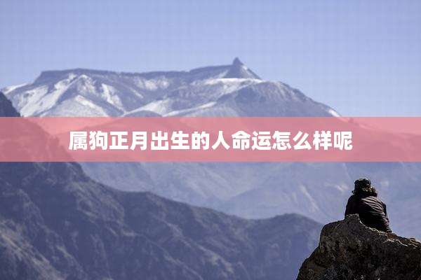 属狗正月出生的人命运怎么样呢
