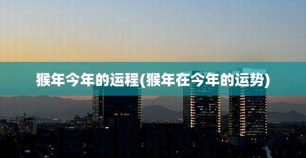猴年今年的运程(猴年在今年的运势)