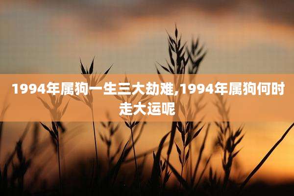 1994年属狗一生三大劫难,1994年属狗何时走大运呢