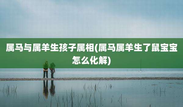 属马与属羊生孩子属相(属马属羊生了鼠宝宝怎么化解)