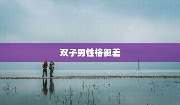 双子男性格很差