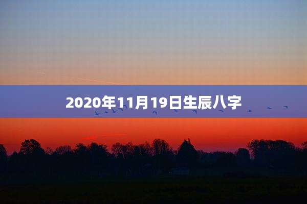 2020年11月19日生辰八字