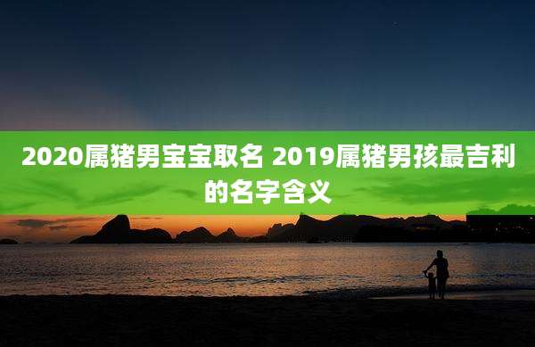 2020属猪男宝宝取名 2019属猪男孩最吉利的名字含义