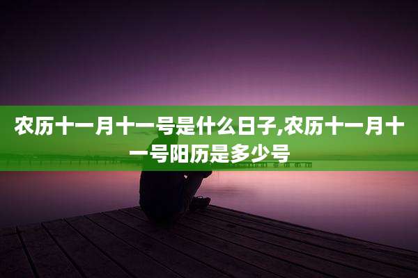 农历十一月十一号是什么日子,农历十一月十一号阳历是多少号