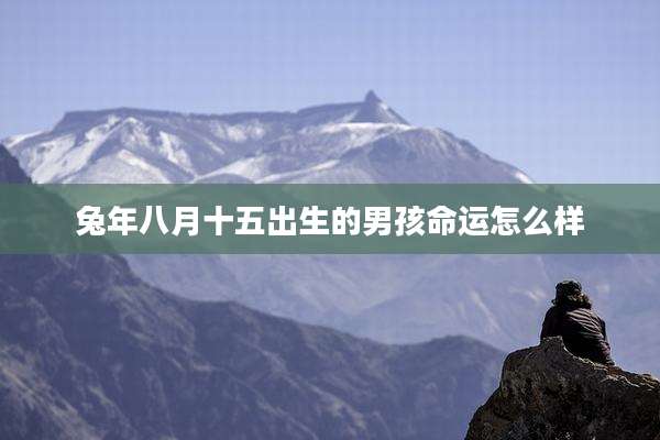 兔年八月十五出生的男孩命运怎么样