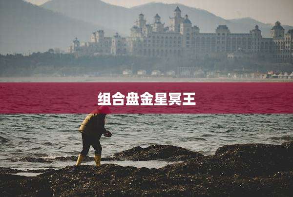 组合盘金星冥王