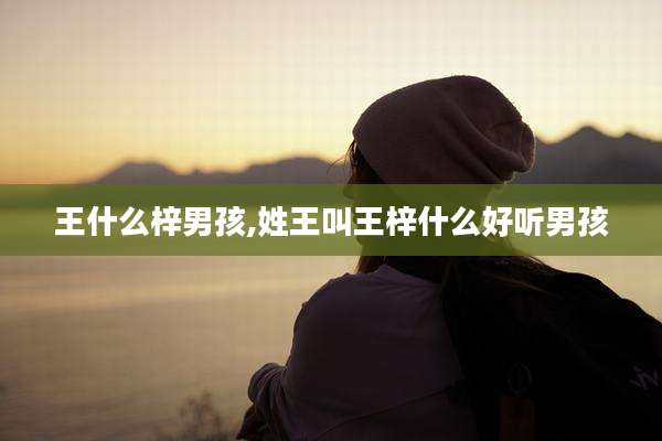 王什么梓男孩,姓王叫王梓什么好听男孩