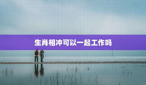 生肖相冲可以一起工作吗