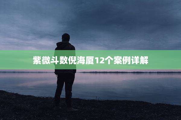 紫微斗数倪海厦12个案例详解