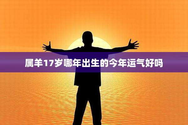 属羊17岁哪年出生的今年运气好吗