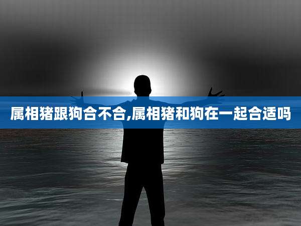 属相猪跟狗合不合,属相猪和狗在一起合适吗
