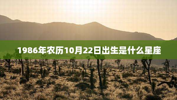 1986年农历10月22日出生是什么星座