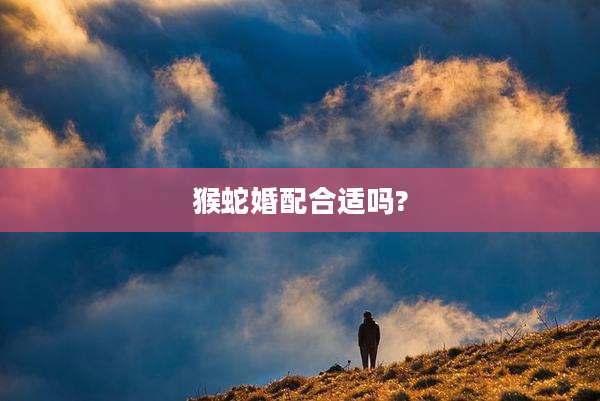 猴蛇婚配合适吗?