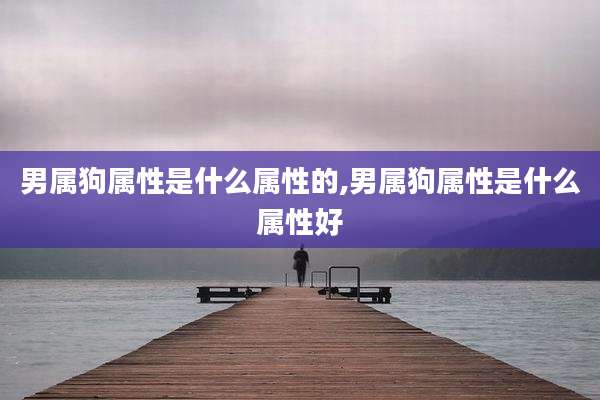 男属狗属性是什么属性的,男属狗属性是什么属性好