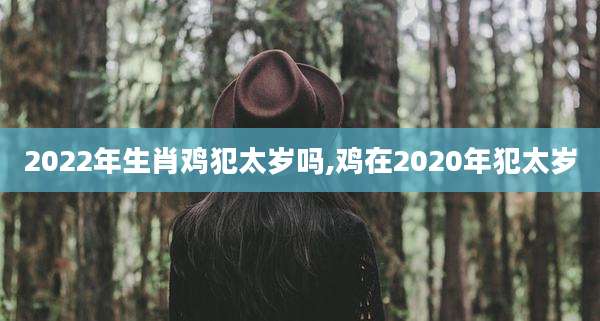 2022年生肖鸡犯太岁吗,鸡在2020年犯太岁