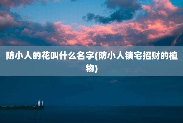 防小人的花叫什么名字(防小人镇宅招财的植物)
