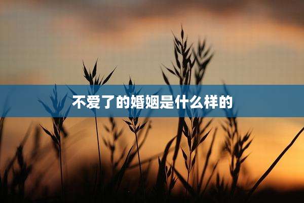 不爱了的婚姻是什么样的