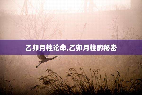 乙卯月柱论命,乙卯月柱的秘密