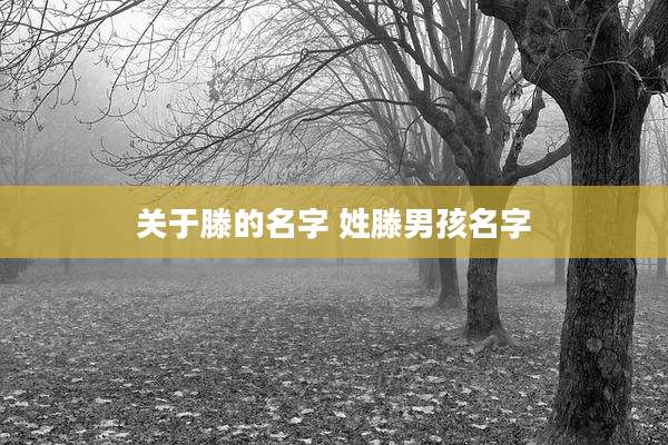 关于滕的名字 姓滕男孩名字