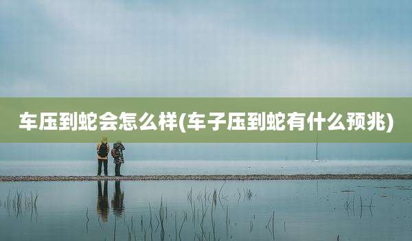 车压到蛇会怎么样(车子压到蛇有什么预兆)