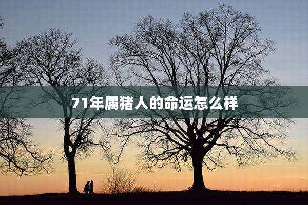 71年属猪人的命运怎么样