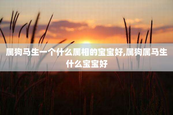 属狗马生一个什么属相的宝宝好,属狗属马生什么宝宝好