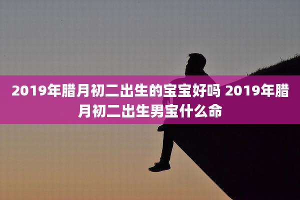 2019年腊月初二出生的宝宝好吗 2019年腊月初二出生男宝什么命