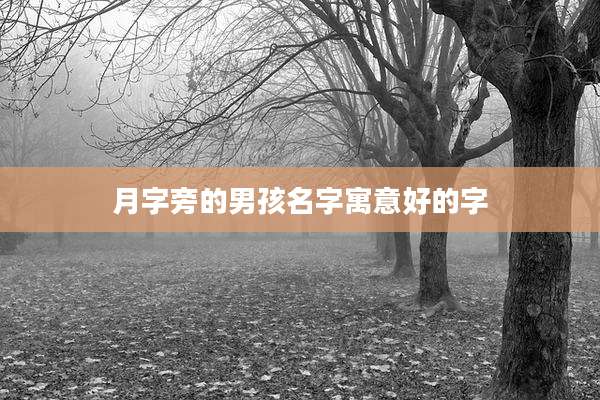 月字旁的男孩名字寓意好的字
