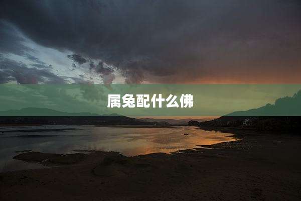 属兔配什么佛