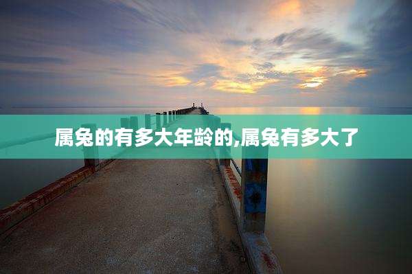 属兔的有多大年龄的,属兔有多大了