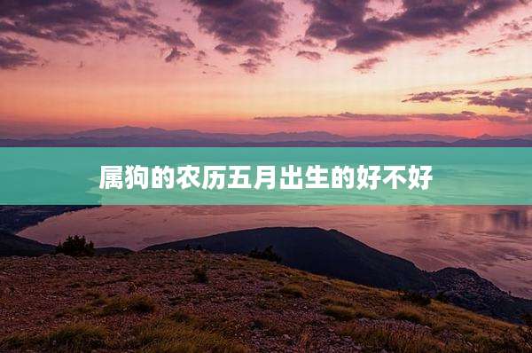 属狗的农历五月出生的好不好