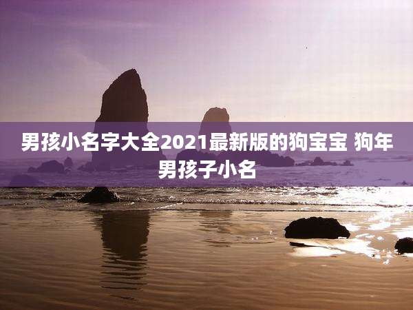 男孩小名字大全2021最新版的狗宝宝 狗年男孩子小名