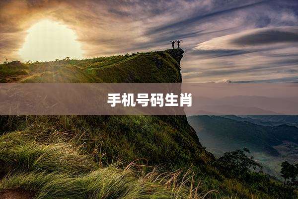 手机号码生肖